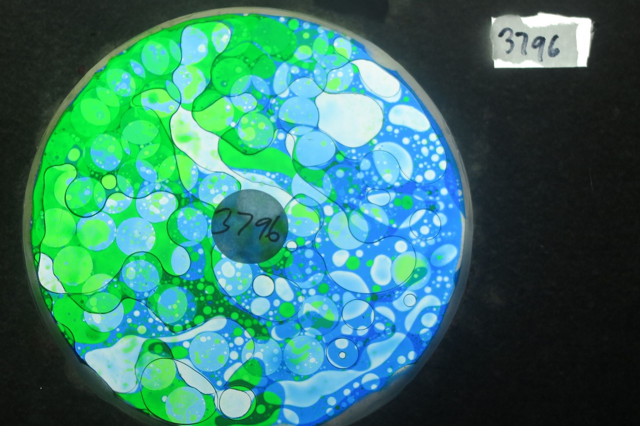 BV3796 bubble vision oil wheel